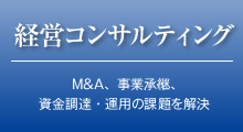 経営コンサルティング「M&A、事業継承、資金調達・運用の課題を解決」